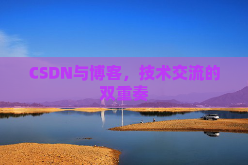 CSDN与博客，技术交流的双重奏